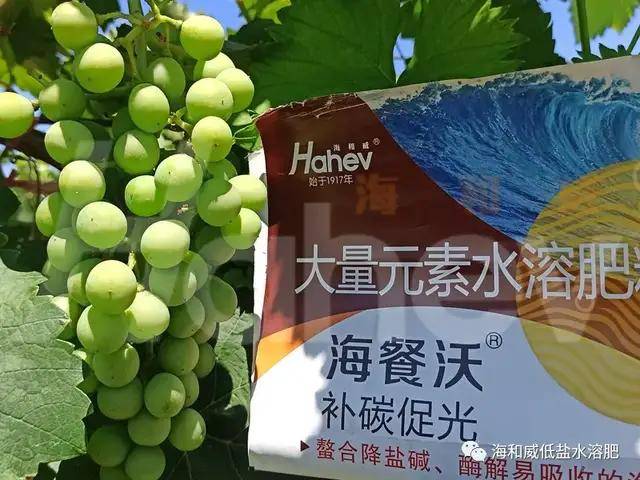 大量元素水溶肥规范：大量元素水溶肥使用注意事项 