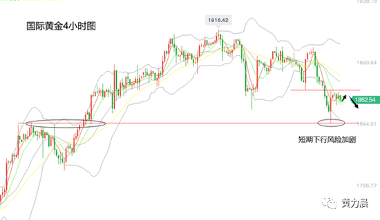 天长排骨价格走势揭秘，最新市场消息与消费者关注焦点