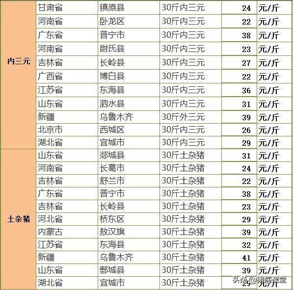 全国生猪价格新动向，学习变化，赢自信与财富