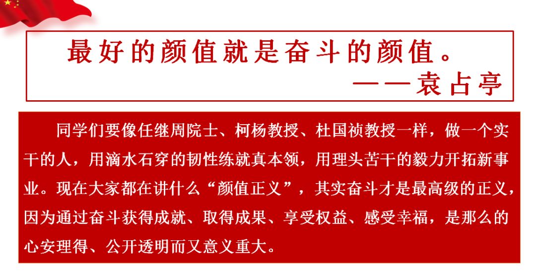 袁占亭最新动态聚焦，三大要点解析与最新消息速递