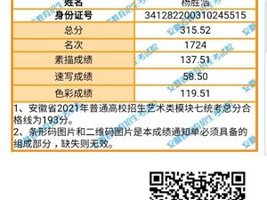 去年临泉招聘网最新招聘情况概览及招聘动态分析