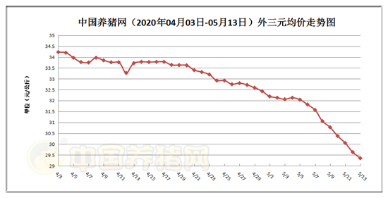 山东生猪最新猪价走势深度解析，洞悉市场变化，11月13日最新趋势报告