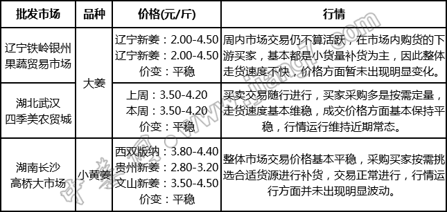 往年11月15日英文童声综述，价值、影响与个人立场探析