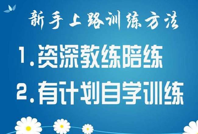 陆丰东海最新招聘司机，驾驭未来，励志成长之路